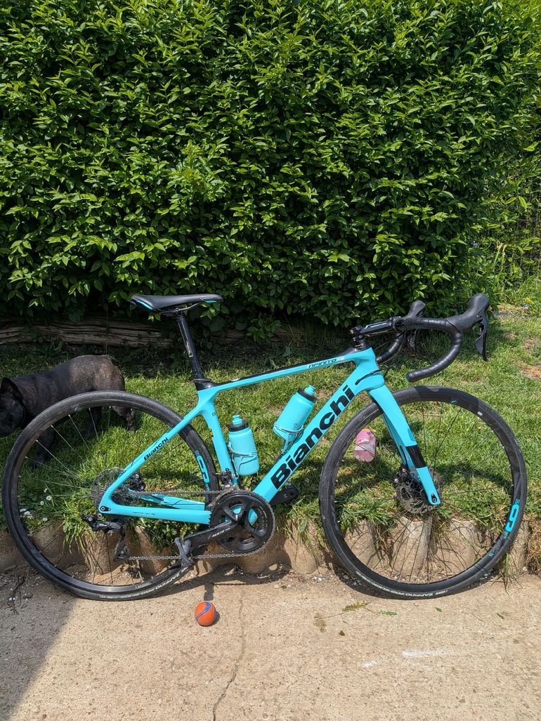 Used Bianchi Infinito XE 105 2021 2021 Road & Gravel — image 3 of 3