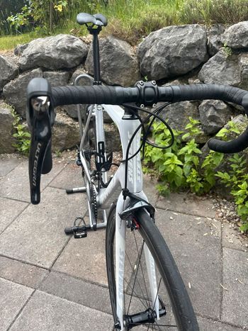 Used Stevens Stevens Xenon Carbon Rennrad 2023 Road & Gravel, Weiß — image 4 of 15