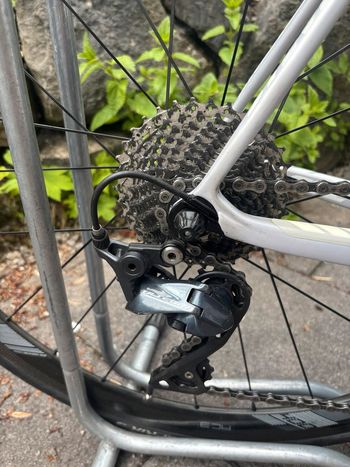 Used Stevens Stevens Xenon Carbon Rennrad 2023 Road & Gravel, Weiß — image 2 of 15