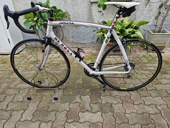 Used De Rosa IDOL Frameset 2009 2009 Road & Gravel