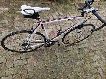 Used De Rosa IDOL Frameset 2009 2009 Road & Gravel — image 4 of 4