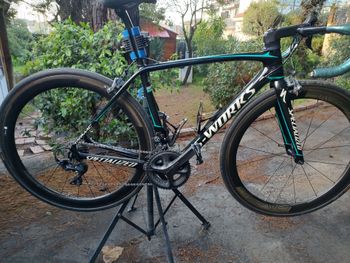 Used Specialized Tarmac Shimano Ultegra 2017 Road & Gravel — image 8 of 8