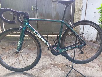 Used Specialized Tarmac Shimano Ultegra 2017 Road & Gravel