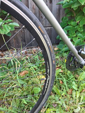 Used Custom Koga Miyata 2018 Urban — image 3 of 12