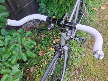 Used Custom Koga Miyata 2018 Urban — image 5 of 12