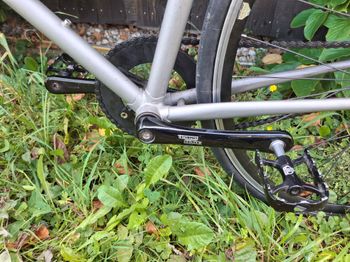 Used Custom Koga Miyata 2018 Urban — image 7 of 12
