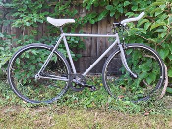Used Custom Koga Miyata 2018 Urban — image 11 of 12