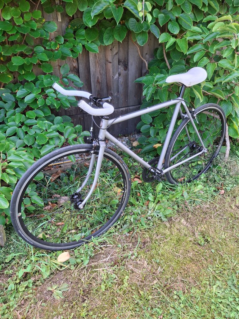 Used Custom Koga Miyata 2018 Urban — image 2 of 12