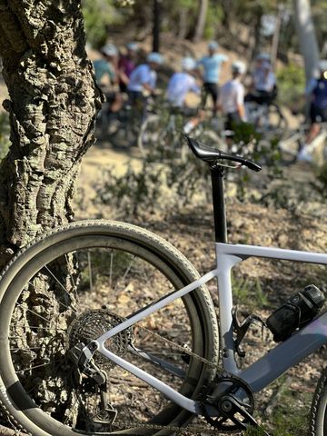 Used 3T Custom SRAM Rival eTap AXS 2026 Road & Gravel, Purple — image 2 of 6