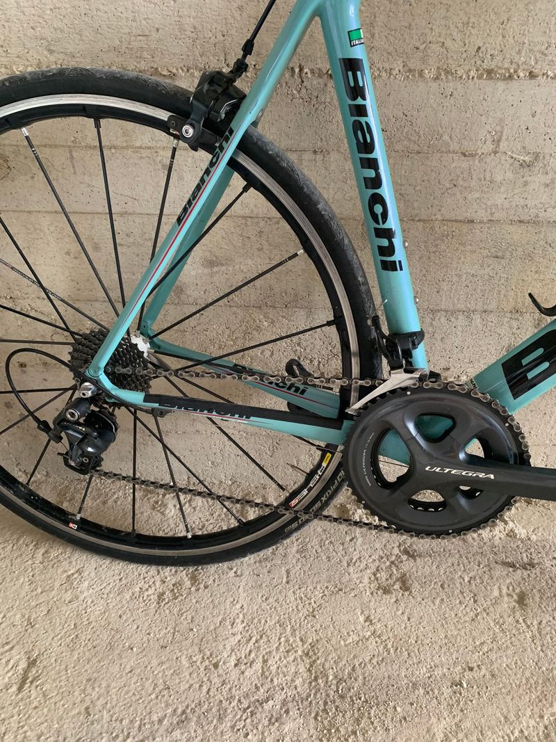 Used Bianchi Sempre Pro Carbon Frameset 2015 2015 Road & Gravel