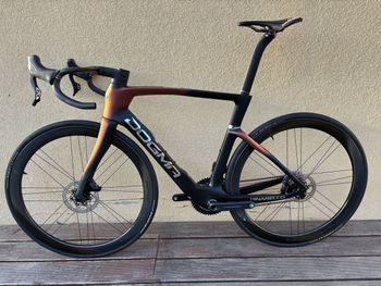 Used Pinarello DOGMA F | Size 550 | 180 - 186cm 2025 Road & Gravel — image 2 of 14