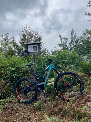 Used Rocky Mountain Altitude Powerplay Carbon 70 (Shimano) 2020 2020 Mountainbike, Black, 27.5 — image 2 of 4