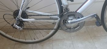 Used De Rosa Idol Shimano Dura Ace 2011 Road & Gravel — image 3 of 5