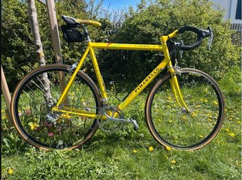 Used Pinarello Pinarello Paris 1997 "Jan Ullrich" Campagnolo Record 1997 Road & Gravel