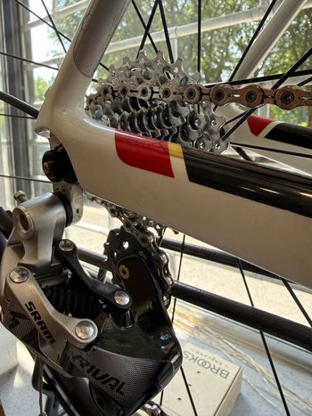 Used Trek Trek Domane SRAM 1x11v Taglia 52 7,2 Kg *speciale* 2020 2020 Urban, White — image 6 of 9