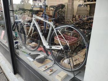 Used Trek Trek Domane SRAM 1x11v Taglia 52 7,2 Kg *speciale* 2020 2020 Urban, White — image 2 of 9