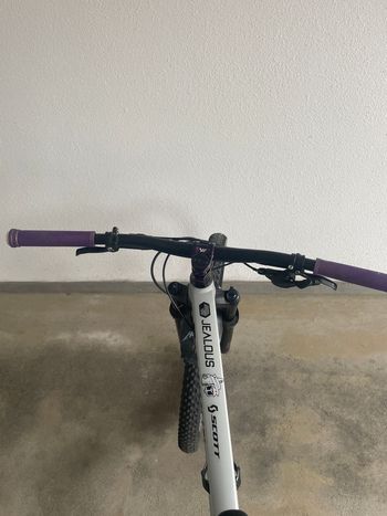 Used Radon JEALOUS AL 8.0 2022 2022 Mountainbike, Hellgrau — image 3 of 7