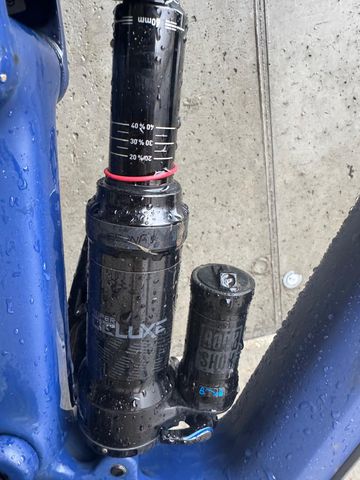 Used Canyon Strive CF 6.0 2019 2019 Mountainbike, Blue, 29 — image 4 of 6