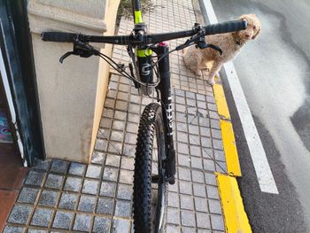 Used Cannondale Scalpel-Si Carbon 4 2017 2017 Mountainbike, Green, 29 — image 13 of 13