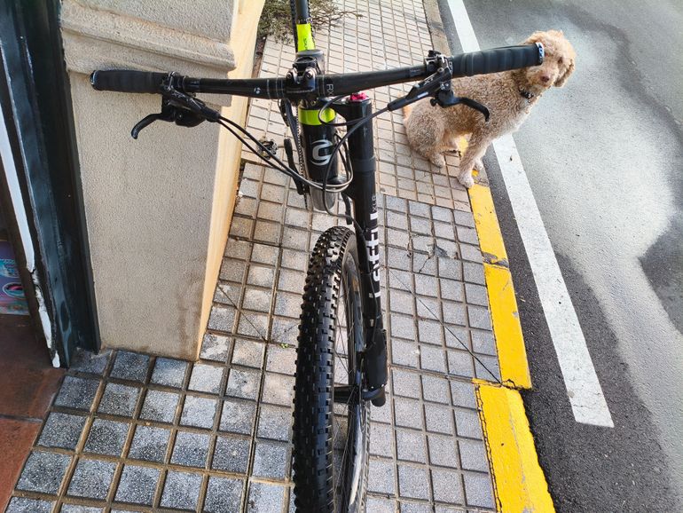 Used Cannondale Scalpel-Si Carbon 4 2017 2017 Mountainbike, Green, 29 — image 13 of 13