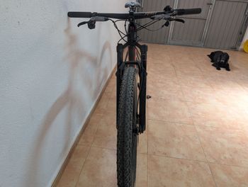 Used Trek Supercaliber SLR 9.8 GX AXS Gen 2 2024 2024 Mountainbike, Red, 29 — image 8 of 8