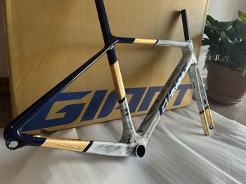 Giant TCR Advanced SL Frameset 2026 Frameset 2026 Road & Gravel d'occasion — image 1 sur 15
