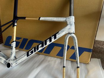 Giant TCR Advanced SL Frameset 2026 Frameset 2026 Road & Gravel d'occasion — image 4 sur 15