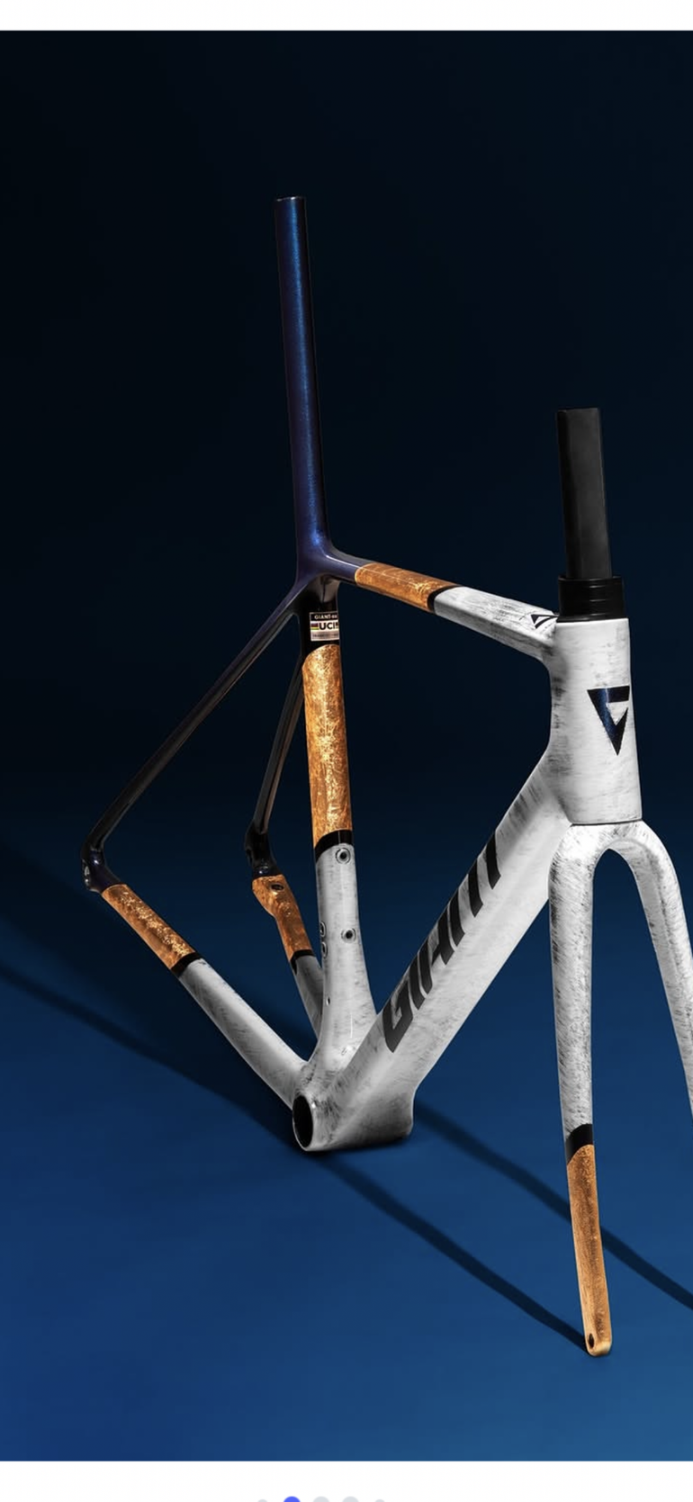 Used Giant TCR Advanced SL Frameset 2026 Frameset 2026 Road & Gravel — image 6 of 6