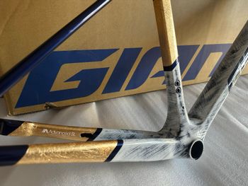 Giant TCR Advanced SL Frameset 2026 Frameset 2026 Road & Gravel d'occasion — image 5 sur 15