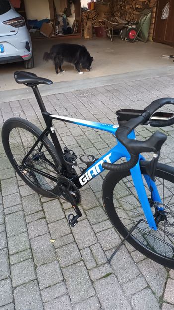 Used Giant Propel Shimano Dura Ace Di2 2025 Road & Gravel