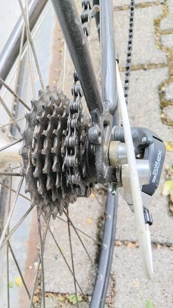 Used Raleigh Raleigh Brasil RH49 1990 Road & Gravel, Black — image 14 of 15