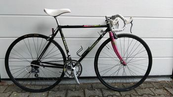 Used Raleigh Raleigh Brasil RH49 1990 Road & Gravel