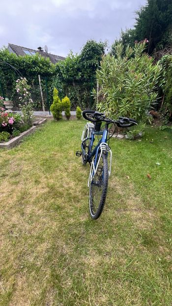 Used RIVERSIDE RT 520 Touring Bike 2021 2021 Urban, Blue — image 2 of 11