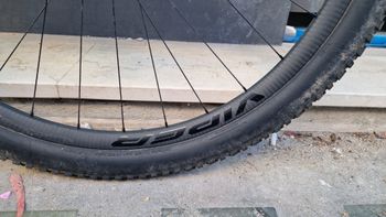 Used Specialized Epic 8 EVO Pro - SRAM X0 AXS, FOX Factory 2024 2024 Mountainbike — image 6 of 19