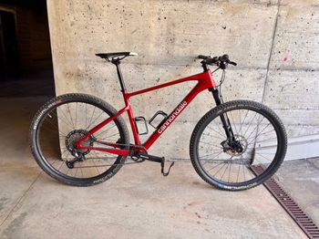Used Cannondale Scalpel HT Carbon 2 2023 2023 MTB