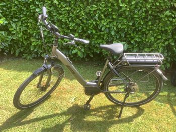 Used E-Bike Pegasus E-Bike Pegasus Solero E9 Performance Wave 9G 500 Watt 2022 2022 Urban — image 2 of 4