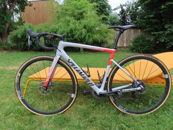 Used Specialized Men's Tarmac Disc Comp 2020 2020 Road & Gravel — image 2 of 5