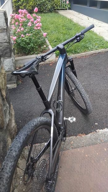 Used Scott Scale RC Team 2023 2023 Mountainbike, Black, 29 — image 2 of 3