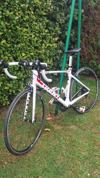 Used Giant TCR Advanced 1 2013 2013 Road & Gravel