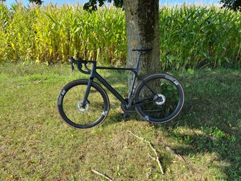Used Canyon Ultimate CF SLX 8 Di2 2023 2023 Road & Gravel, Schwarz — image 7 of 7