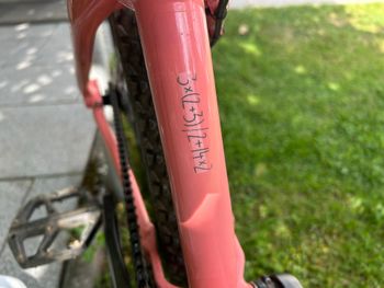 Used Rose The Bruce Ltd. 2024 2024 Mountainbike, Viola — image 6 of 7
