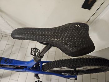Used YT Industries Capra Base AL 29 2021 2021 Mountainbike, Blue, 29 — image 11 of 11