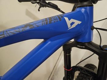 Used YT Industries Capra Base AL 29 2021 2021 Mountainbike, Blue, 29 — image 4 of 11