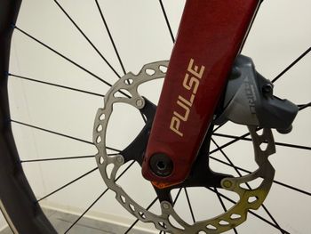 Used Megamo PULSE FRAMESET 2025 2025 Road & Gravel — image 16 of 24