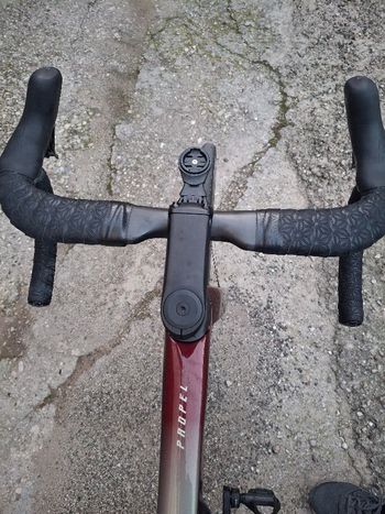 Used Giant Propel Advanced Pro 0 2024 2024 Road & Gravel, Red — image 7 of 9