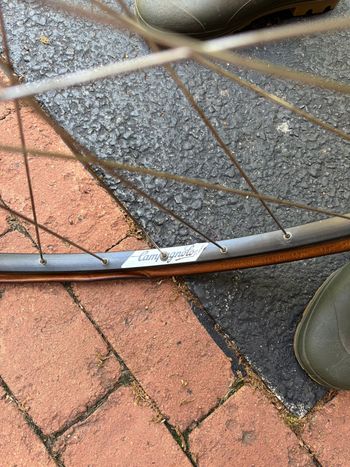 Used Eddy Merckx Road Century 1992 1992 Road & Gravel, Blue — image 7 of 13