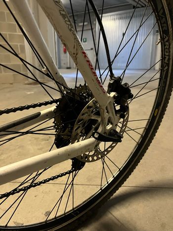 Used Silverstar Silverstar Custom Shimano Alivio 2020 Road & Gravel, White — image 7 of 7