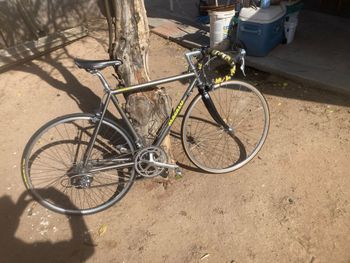 Used Litespeed Litespeed Custom Shimano 600 1996 Road & Gravel, Light Gray — image 19 of 20