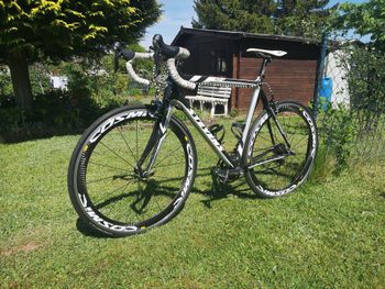 Used Stevens SCF Shimano Ultegra 2010 Road & Gravel — image 2 of 8
