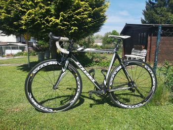 Used Stevens SCF Shimano Ultegra 2010 Road & Gravel
